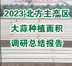 【即將發布】2023'北方主產區大蒜種植面積調研總結報告 (1832播放)