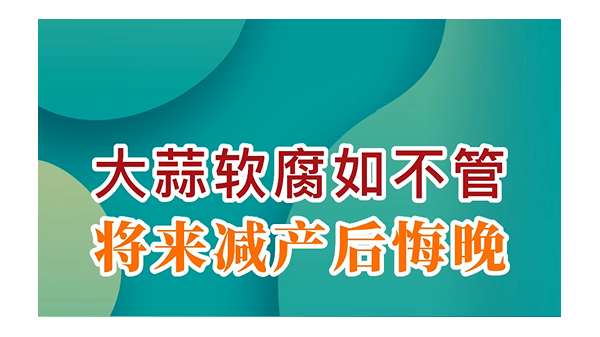 大蒜軟腐如不管，將來減產(chǎn)后悔晚 (730播放)