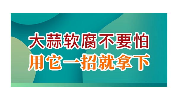 大蒜軟腐不要怕，用它一招就拿下 (808播放)