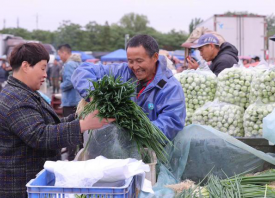 新發地市場：蔬菜供應量足價跌 ()