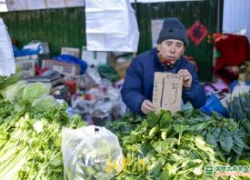 濟南：“1元菜”大量供應市場 ()